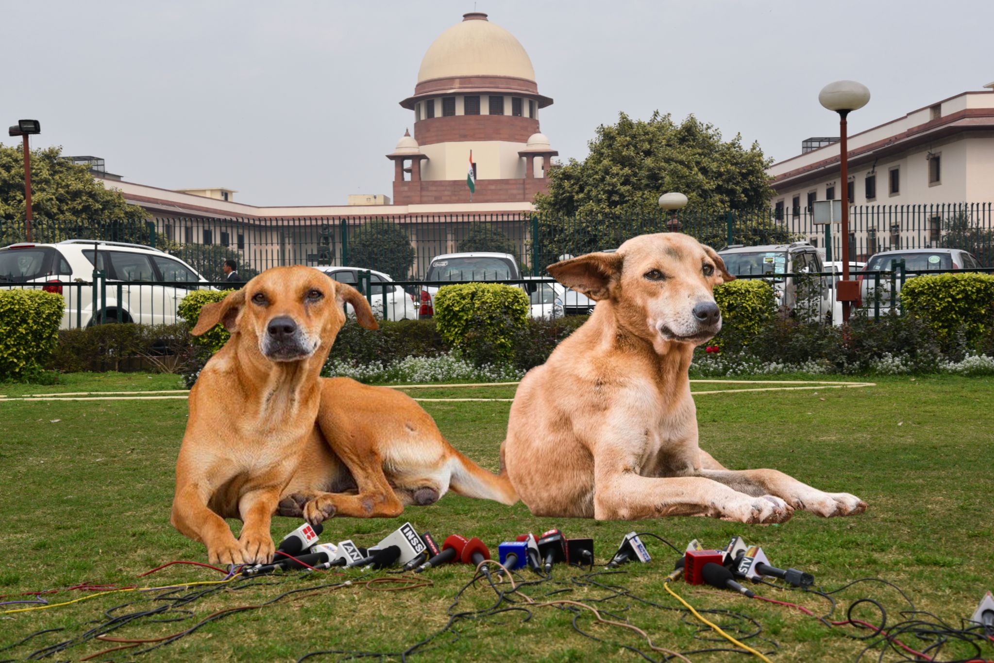 ​देश के न्यायालयों में पांच करोड़ से अधिक मुकदमें लंबित हैं 'मुद्दत' से 😢 लेकिन 'कुत्ते के भी दिन आते हैं'  🙏
